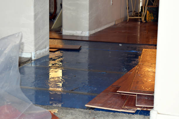 Professional Flood Cleanup technician working in Lakeview, OR